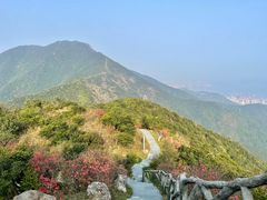 -梧桐山风景名胜区