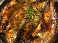-食家鸽园