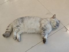 -平行世界·猫咖(首经贸店)