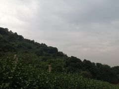 -缥缈峰景区