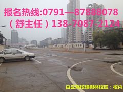 -白云驾校(樟树林校区)
