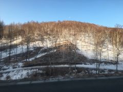 -塞罕坝国家级自然保护区