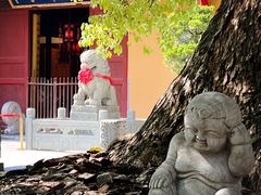 -龙华素斋(龙华路店)