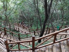 -大岭沟猕猴桃谷风景区
