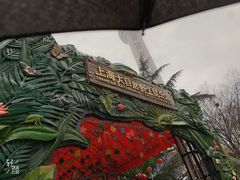 -上海大自然野生昆虫馆(东方明珠·爬宠昆虫探索中心)