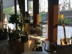 -sugarman espresso素饮糖人高新咖啡工厂