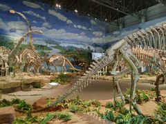 -自贡恐龙博物馆