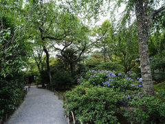 -天龙寺