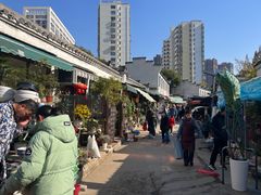 -合肥市裕丰花鸟虫鱼市场-F区