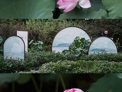 -上海醉白池公园