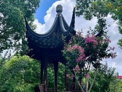 -上海财经大学(国定路校区)