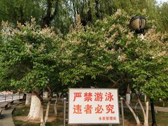 -裕华世纪公园