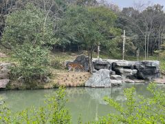 -宁波野生动物园
