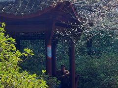 -杭州植物园