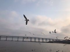 -黑石礁公园