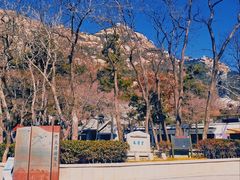 -青岛崂山太清宫