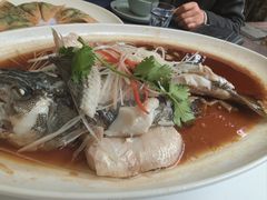 -院8里·小聚园(九眼桥店)