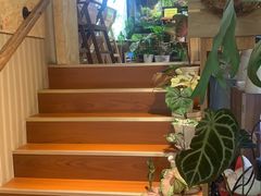 -Rabbit Cafe私房西餐甜点咖啡(栖霞路店)