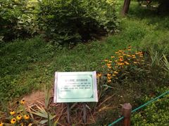 景山公园-景山公园