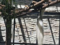 -石家庄市动物园