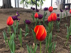 -南通洲际绿博园