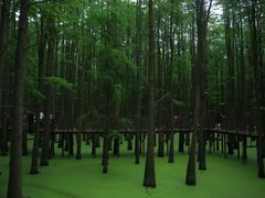 -青山湖景区