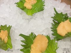 -月龍吟(朝龙汇店)