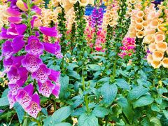 -成都吃客(九眼桥店)