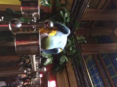 iphone_upload_pic-那家小馆•北京菜•烤鸭(中关村店)