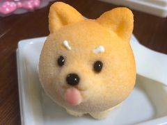 -柴犬高等学院·狗咖·柴犬售卖·宠物训练