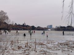 -长春市南湖公园