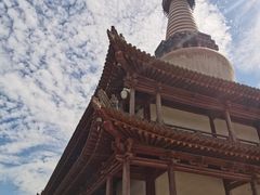 -张掖大佛寺景区