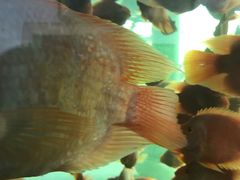 -重庆动物园·东二门售票处