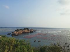 -枸杞岛