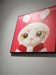 -洗脸猫·洗脸吧