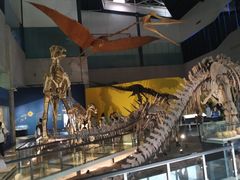 -湖南省地质博物馆