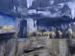 -多彩贵州城极地海洋世界