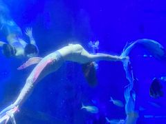 -江和美海洋公园