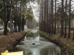 -颐景园
