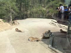 -大连森林动物园