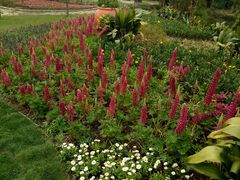 -西湖外事游船(湖滨二公园外事游船码头)