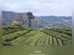 -十里琅珰