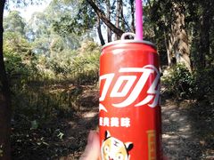 -火炉山森林公园