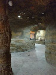 -酷嗒动物文化乐园(cutezoo西溪乐天城店)