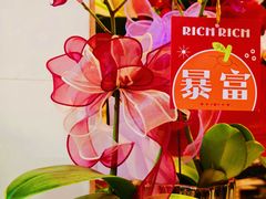 -溪岸路花鸟市场