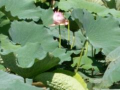 -南宫温泉水世界