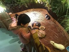 -藦茜花园宠物主题亲子互动体验馆(国顺东路店)