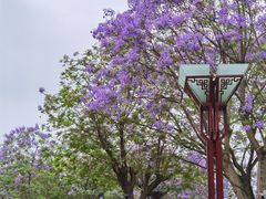 -眉山湿地公园(东坡区)