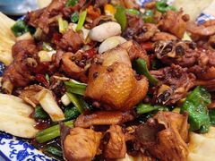 -向民炒鸡老店(金泰华府店)