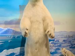 -陕西自然博物馆